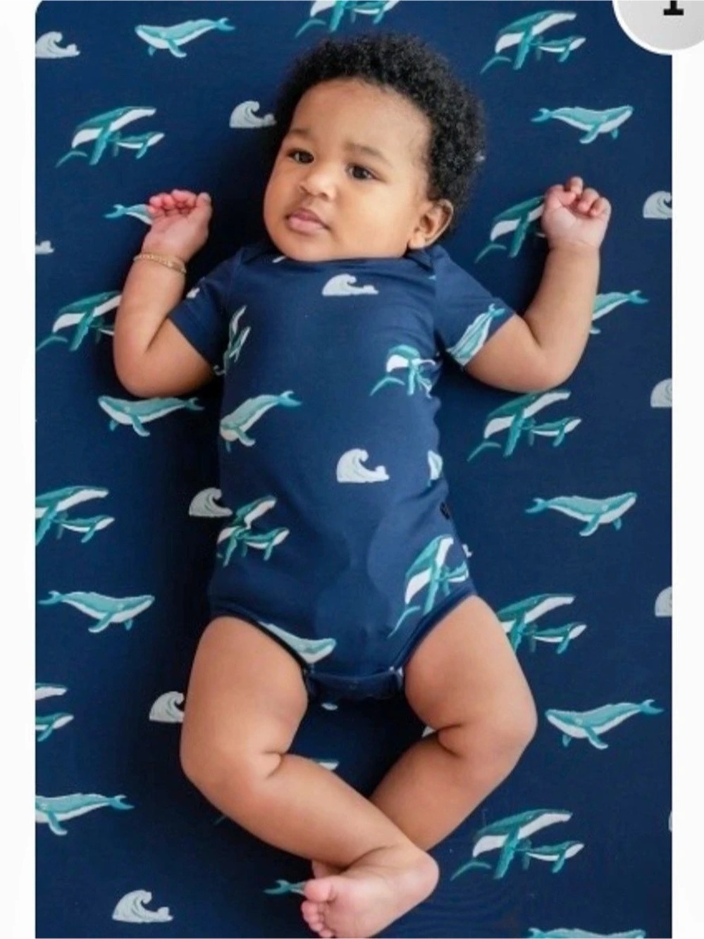 Kyte Baby Short Sleeve Bodysuit in Humpback